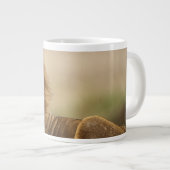 Kenia, Masai Mara | Mannelijke leeuw Grote Koffiekop (Voorkant rechts)