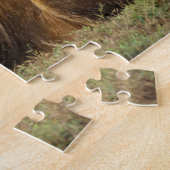 Kenia, Masai Mara | Mannelijke leeuw Legpuzzel (Zijkant)