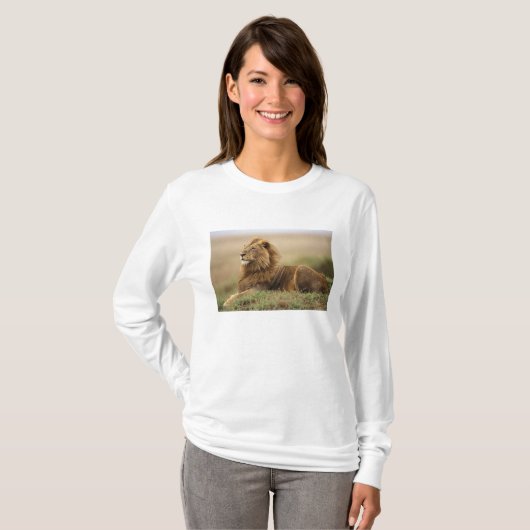 Kenia, Masai Mara | Mannelijke leeuw T-shirt (Voorkant volledig)