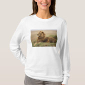 Kenia, Masai Mara | Mannelijke leeuw T-shirt (Voorkant)