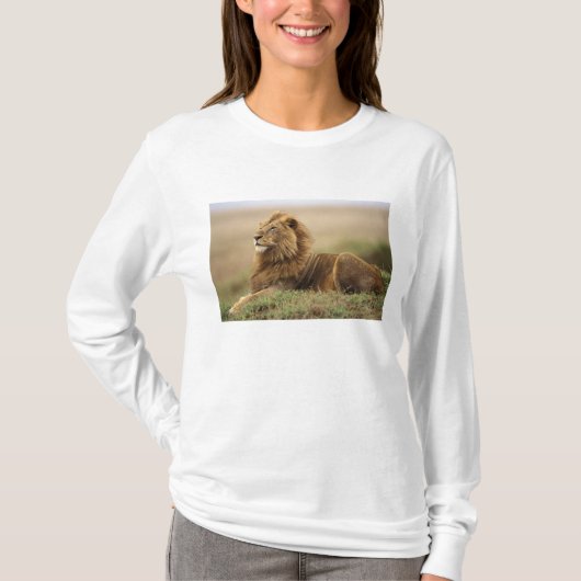Kenia, Masai Mara | Mannelijke leeuw T-shirt (Voorkant)