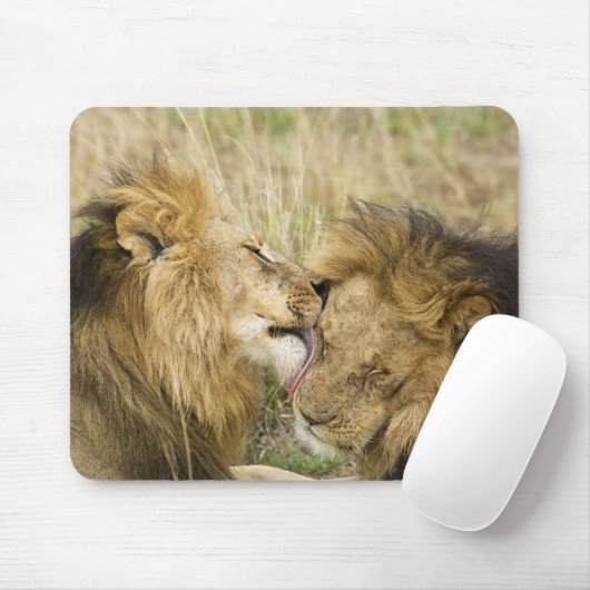 Kenia, Masai Mara Muismat (Met muis)