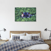 Kenia, Masai Mara National Reserve. Canvas Afdruk (Insitu (Slaapkamer))