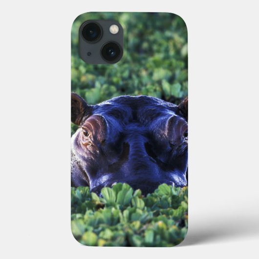 Kenia, Masai Mara National Reserve. Case-Mate iPhone Case (Achterkant)