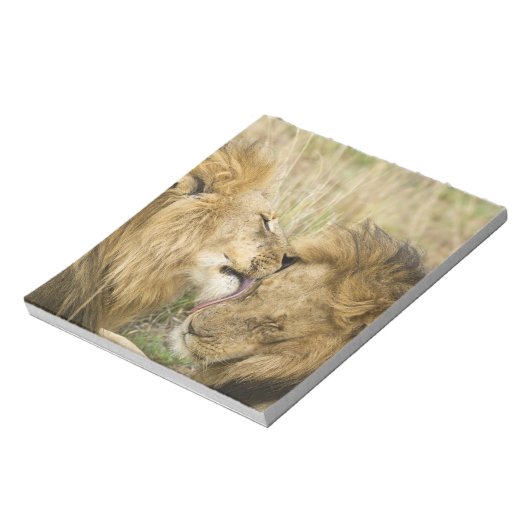 Kenia, Masai Mara Notitieblok (Linkerzijde)