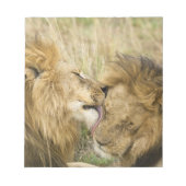 Kenia, Masai Mara Notitieblok (Voorkant)