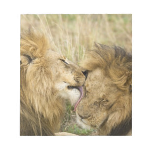 Kenia, Masai Mara Notitieblok