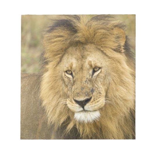 Kenia Masai Mara Notitieblok (Voorkant)