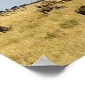 Kenia, Masai Mara. Toeristen rijden op heteluchtba Poster (Hoek)