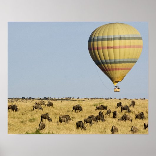 Kenia, Masai Mara. Toeristen rijden op heteluchtba Poster (Voorkant)