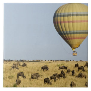Kenia, Masai Mara. Toeristen varen in een luchtbal Tegeltje