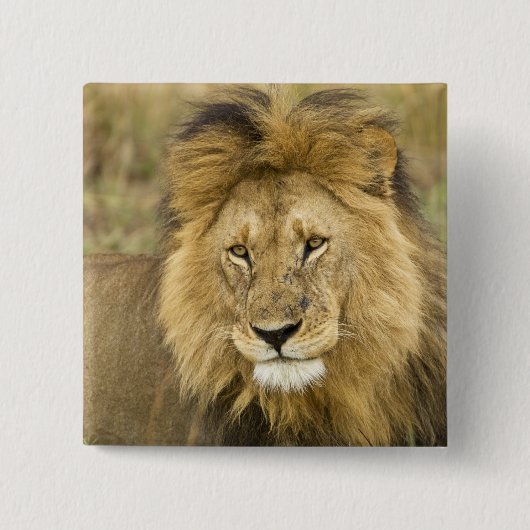 Kenia Masai Mara Vierkante Button 5,1 Cm (Voorkant)