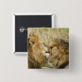 Kenia, Masai Mara Vierkante Button 5,1 Cm (Voorkant /achterkant)