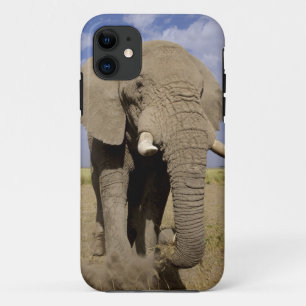 Kenia: Nationaal park Amboseli, mannelijke olifant Case-Mate iPhone Case