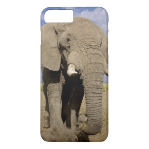 Kenia: Nationaal park Amboseli, mannelijke olifant Case-Mate iPhone Case