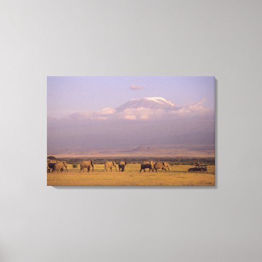 Kenia: Nationaal park Amboseli, Olifanten Canvas Afdruk (Voorkant)