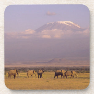 Kenia: Nationaal park Amboseli, Olifanten Drankjes Onderzetter