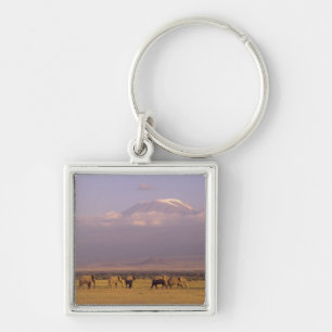Kenia: Nationaal park Amboseli, Olifanten Sleutelhanger