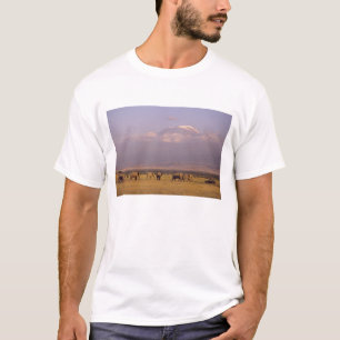 Kenia: Nationaal park Amboseli, Olifanten T-shirt