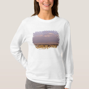Kenia: Nationaal park Amboseli, Olifanten T-shirt