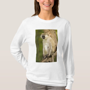 Kenia, Nationaal park Lake Nakuru. Groene meerkat T-shirt