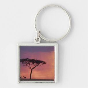 Kenia: Nationaal park Masai Mara, Zonsondergang. Sleutelhanger