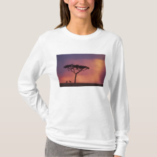 Kenia: Nationaal park Masai Mara, Zonsondergang. T-shirt