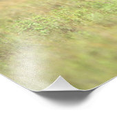 Kenia, Nationaal Park Nairobi. Black Rhinoceros Foto Afdruk (Hoek)