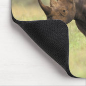 Kenia, Nationaal Park Nairobi. Black Rhinoceros Muismat (Hoek)