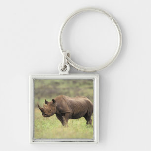 Kenia, Nationaal park Nairobi. Zwarte neushoorn Sleutelhanger