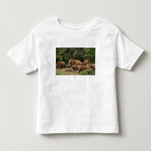 Kenia: Nationaal park Tsavo East, kudde Afrikaanse Kinder Shirts