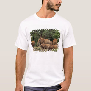 Kenia: Nationaal park Tsavo East, kudde Afrikaanse T-shirt
