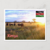 Kenia - Panorama - Briefkaart (Voorkant)