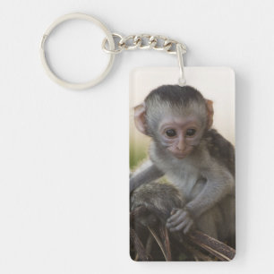Kenia, Samburu Game Reserve. Vervet Monkey Sleutelhanger