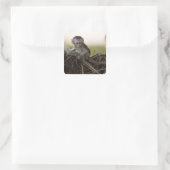 Kenia, Samburu Game Reserve. Vervet Monkey Vierkante Sticker (Tas)