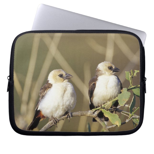 Kenia, Samburu National Reserve Laptop Sleeve (Voorkant)