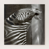 Kenia. Zwart en wit van zebra en vlakte. Legpuzzel (Horizontaal)