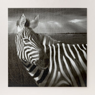 Kenia. Zwart-wit van zebra en glad. Legpuzzel