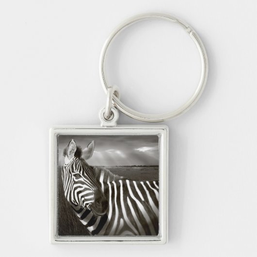 Kenia. Zwart & wit van zebra en vlakte. Sleutelhanger (Voorkant)