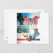 Keniaans tapijt: Wildlife, Cultuur & Kuststrand Briefkaart (Voorkant / Achterkant)