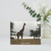 Keniaanse giraffe in het wild briefkaart (Staand voorkant)