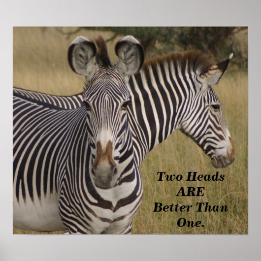 Keniaanse zebra's twee hoofden zijn beter dan één poster (Voorkant)