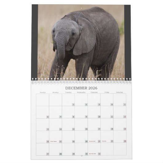 Kenia's Big 5 Kalender (Dec 2026)