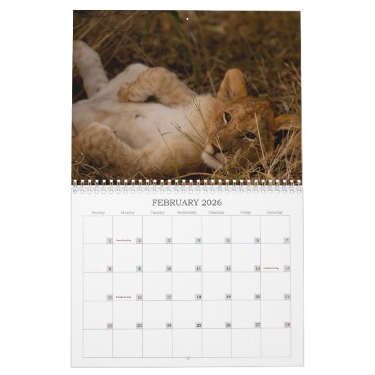 Kenia's Big 5 Kalender (Feb 2026)