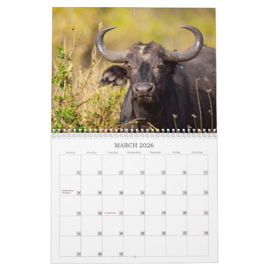 Kenia's Big 5 Kalender (Mar 2026)