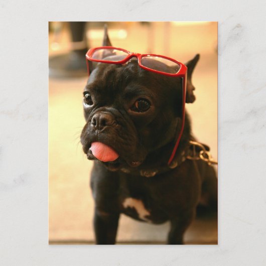 Kenken Briefkaarten A (Voorkant)