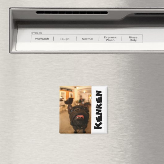 Kenken Magneten E (Insitu (Vaatwasser))