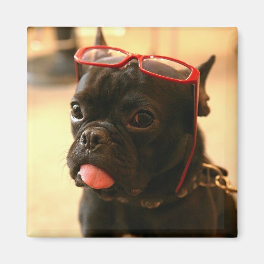 Kenken Magnets A Magneet (Voorkant)