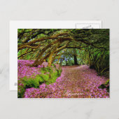 Kenmare Briefkaart (Voorkant / Achterkant)