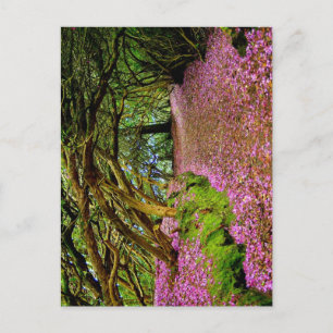 Kenmare Fairy Road Briefkaart